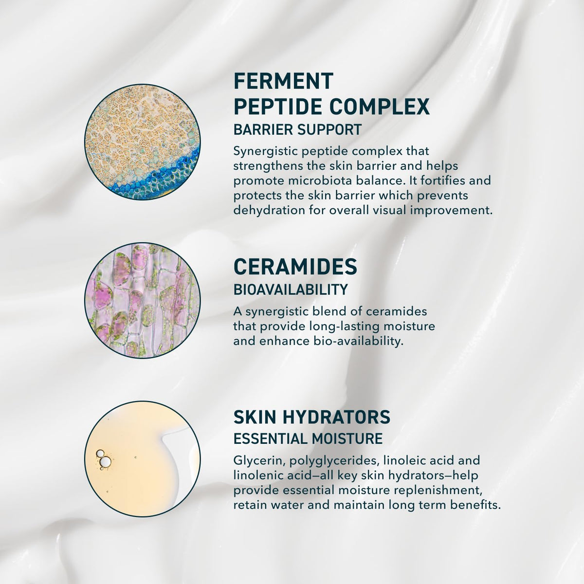 Prequel Skin AM/PM Modern Moisturizer – Hydrating Face Cream with Peptides, Ceramides & Glycerin for Dry, Sensitive, or Combination Skin – Non-Greasy Moisturizer for Barrier Support