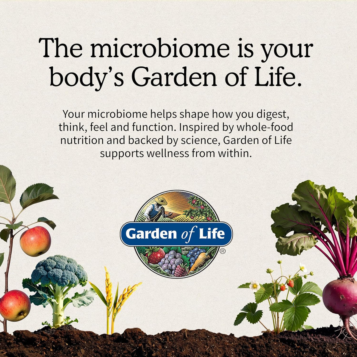 Garden of Life Raw Probiotics Ultimate Care, 100 B CFU, Shelf Stable, 30ct